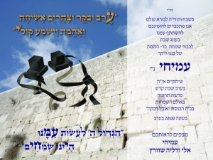 הזמנה (1014)-01