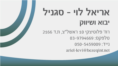 כרטיסי ביקור - כרטיס ביקור 2
