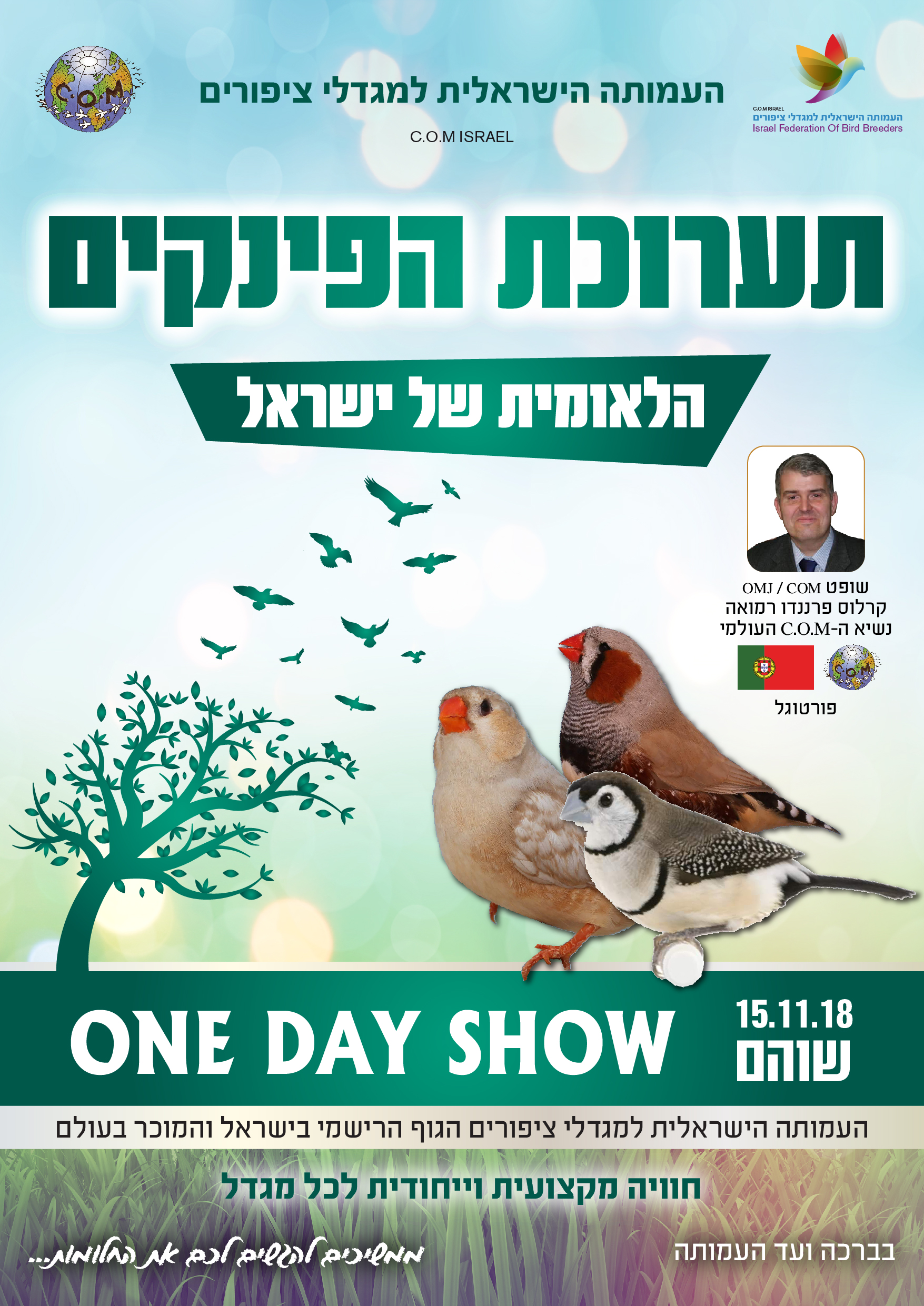 פלאיירים ופרוספקטים - פינקים 01