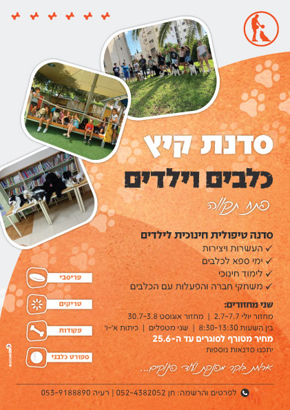 פלאיירים ופרוספקטים - פלייר7