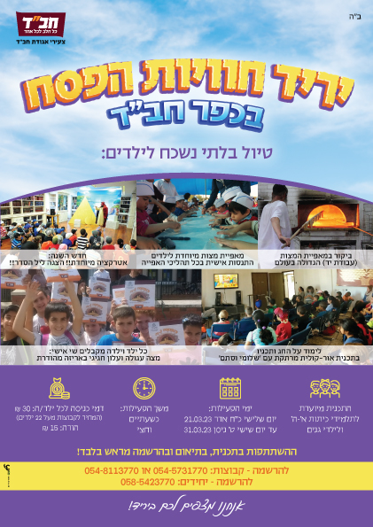פלאיירים ופרוספקטים - פלייר8