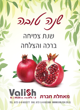 גלויות - כרטיס ברכה שנה חדשה