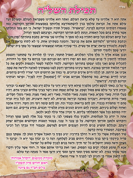 זמירונים - תפילת השלה נס יונה